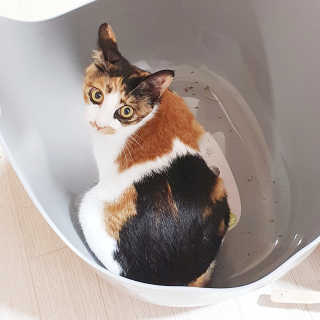 JENNY님이 올린 리뷰 사진 3