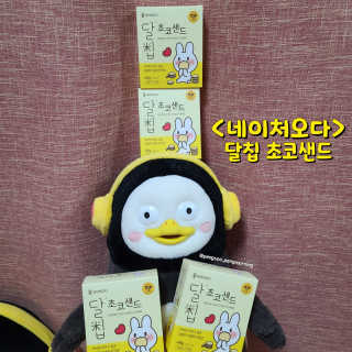 네이처오다 달칩 초코샌드 — 5점을 준 리뷰어가 2020년 10월 올린 사용 사진