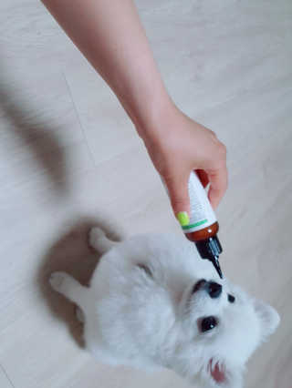 ssosso_yab님이 올린 리뷰 사진 4