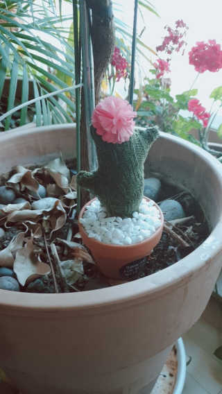 람보슈터님이 올린 리뷰 사진 3