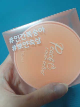[블랙루즈] 피치 커버 벨벳 쿠션 2종 중 택1 — 5점을 준 리뷰어가 2020년 12월 올린 사용 사진