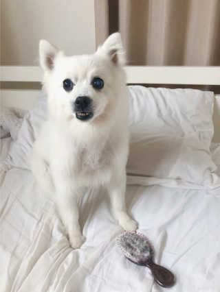 YH님이 올린 리뷰 사진 2