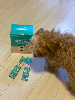 펫시랩 반려견용 액상 프리바이오틱스 아쿠아펫 — 5점을 준 리뷰어가 2020년 12월 올린 사용 사진