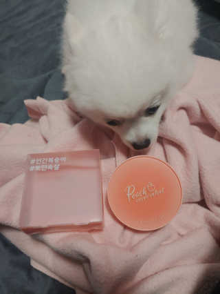 [블랙루즈] 피치 커버 벨벳 쿠션 2종 중 택1 — 5점을 준 리뷰어가 2020년 7월 올린 사용 사진