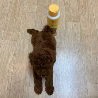 미지님이 올린 리뷰 사진 1