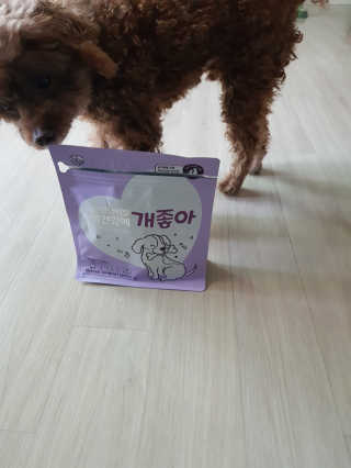 My Pet Care 천연단백질 치아건강에 개좋아 — 5점을 준 리뷰어가 2020년 11월 올린 사용 사진