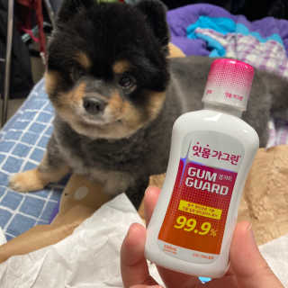 정아님이 올린 리뷰 사진 1