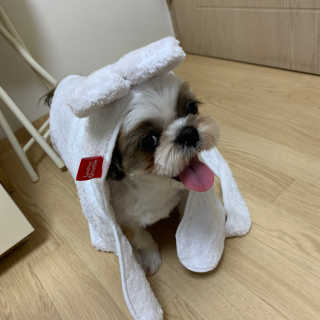 persona님이 올린 리뷰 사진 3