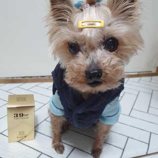 솜희님이 올린 리뷰 사진 3