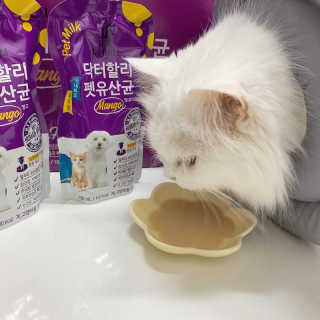 miyoooo님이 올린 리뷰 사진 3