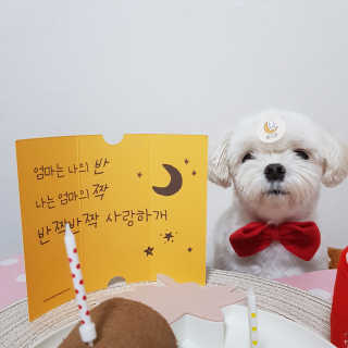 권쁜님이 올린 리뷰 사진 1