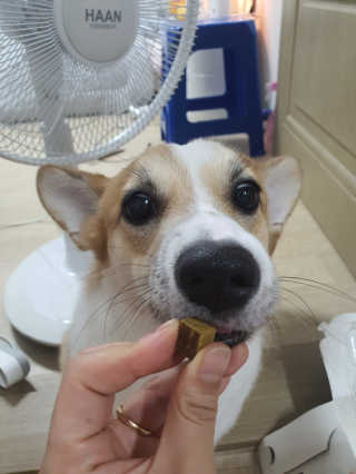 박지은님이 올린 리뷰 사진 4