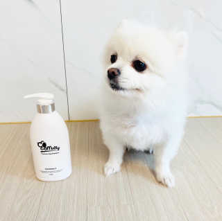 예민한 피부를 위한 코코몰리 All in one 자연유래 샴푸 — 4.5점을 준 리뷰어가 2020년 9월 올린 사용 사진