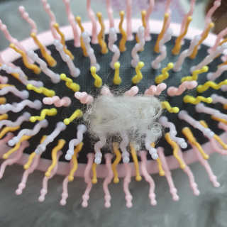 아이캔디 레인보우 볼륨S  브러쉬 for PET 미디엄 — 5점을 준 리뷰어가 2020년 12월 올린 사용 사진