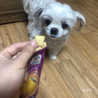 [보장균수5억] 건강한장 프로젝트 강아지간식 보스독 프로펍스트릿 170g 3종 — 4점을 준 리뷰어가 2020년 12월 올린 사용 사진