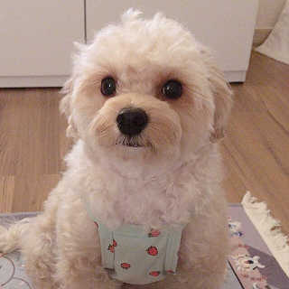 백설님이 올린 리뷰 사진 3