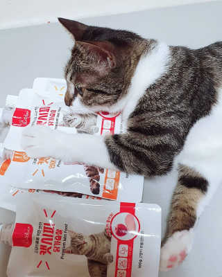 jju님이 올린 리뷰 사진 1
