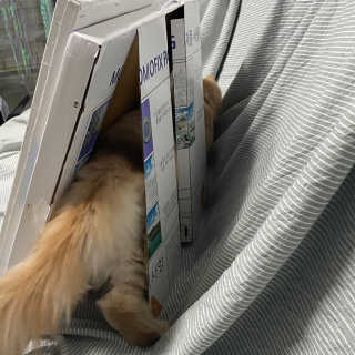 숩니님이 올린 리뷰 사진 3