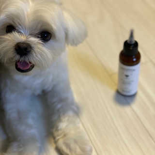 칸쵸님이 올린 리뷰 사진 1