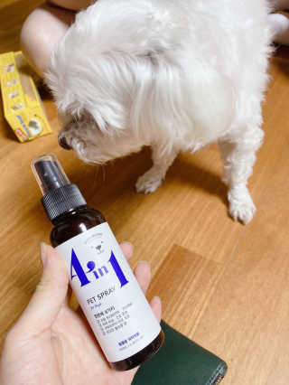 강아지스토리 포인원 모이스처 미스트 100ml — 4점을 준 리뷰어가 2020년 6월 올린 사용 사진