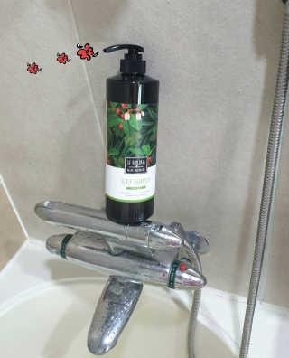 르퀼라야 스칼프 샴푸 810ml [가드니아/포레스트] — 5점을 준 리뷰어가 2020년 7월 올린 사용 사진