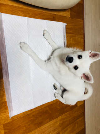 runa님이 올린 리뷰 사진 3