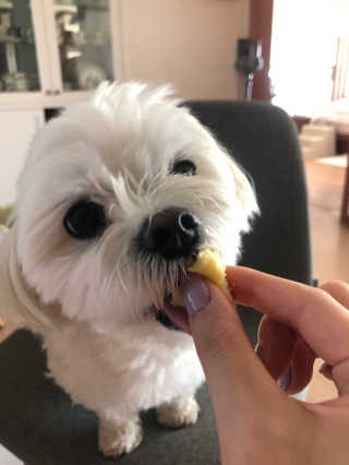 커피좋아님이 올린 리뷰 사진 3