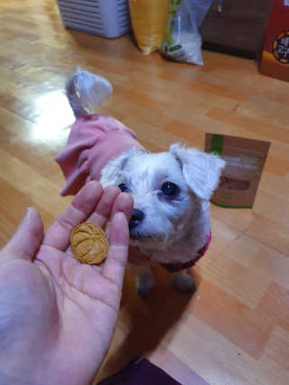 소영님이 올린 리뷰 사진 3
