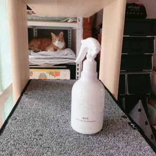 토모님이 올린 리뷰 사진 1