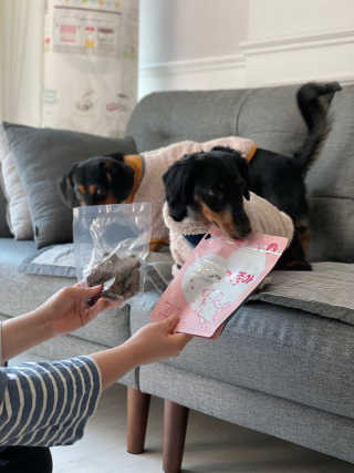 My Pet Care 천연단백질 관절건강에 개좋아 — 5점을 준 리뷰어가 2020년 11월 올린 사용 사진