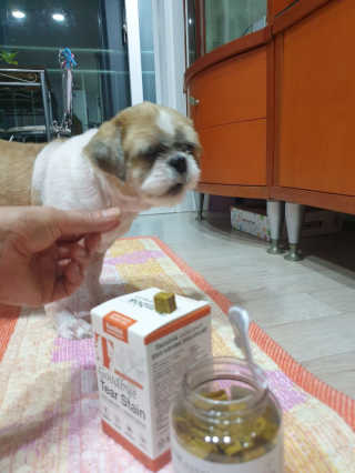 바푸니님이 올린 리뷰 사진 3