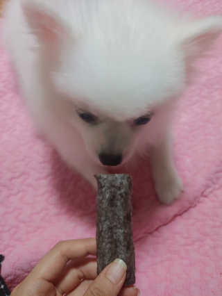 치르치르님이 올린 리뷰 사진 3
