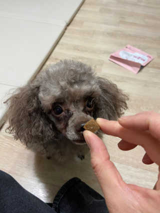 My Pet Care 천연단백질 관절건강에 개좋아 — 5점을 준 리뷰어가 2020년 11월 올린 사용 사진