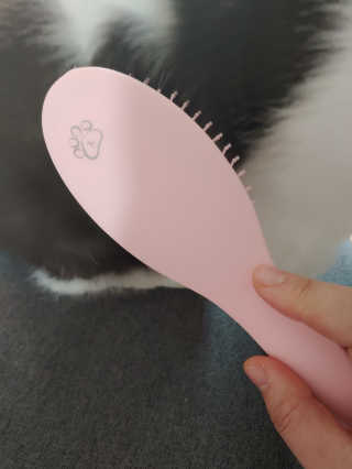 아이캔디 레인보우 볼륨S  브러쉬 for PET 미디엄 — 2.5점을 준 리뷰어가 2020년 11월 올린 사용 사진