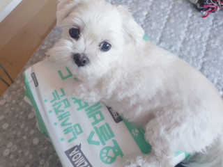 beanmom님이 올린 리뷰 사진 3
