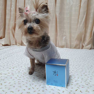 솜희님이 올린 리뷰 사진 3