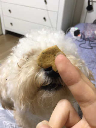 하이예령님이 올린 리뷰 사진 2