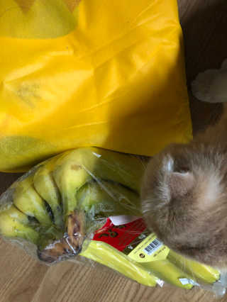 [스미후루] 감숙왕 바나나 1팩 1.3kg + 담요 + 스티커 — 5점을 준 리뷰어가 2020년 10월 올린 사용 사진