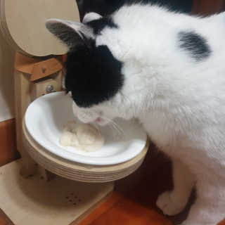 한라봉님이 올린 리뷰 사진 2