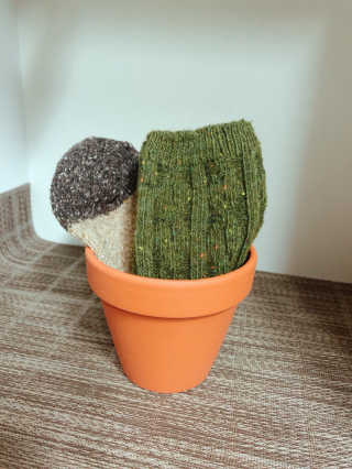 삐딱한펭귄님이 올린 리뷰 사진 3