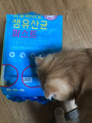 헬스업 핼스업 프로바이오 생유산균 퍼스트 — 5점을 준 리뷰어가 2020년 9월 올린 사용 사진