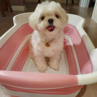 hosu.1230님이 올린 리뷰 사진 2