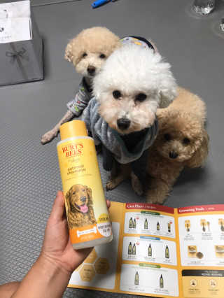 모모맘님이 올린 리뷰 사진 3