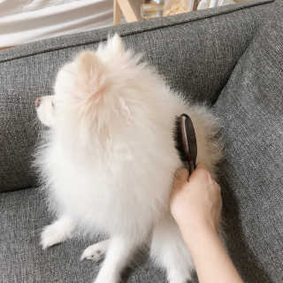꾸눙맘님이 올린 리뷰 사진 4