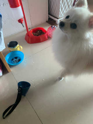 별이빛나길님이 올린 리뷰 사진 3