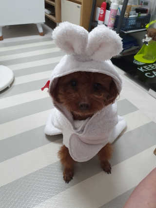 란이님이 올린 리뷰 사진 4