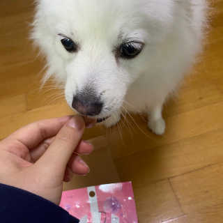 hihi님이 올린 리뷰 사진 2