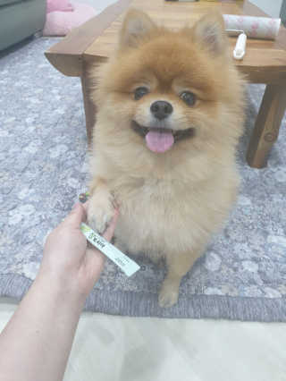 펫님닷컴 [장토피아]1일1스틱으로 간편한 반려동물 유산균 10ea — 5점을 준 리뷰어가 2020년 4월 올린 사용 사진