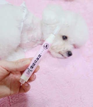 더펫원츠 [5초양치] 멍.치카펜 or 냥.치카펜 or 치카오일펜 — 4점을 준 리뷰어가 2020년 9월 올린 사용 사진