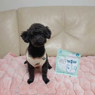 My Pet Care 천연단백질 눈건강에 개좋아 — 5점을 준 리뷰어가 2020년 12월 올린 사용 사진